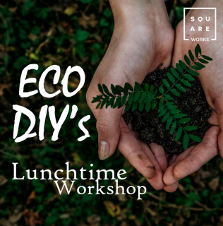 Lunchtime Workshop: Eco DIY’s