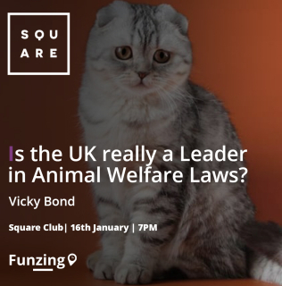 Is the UK really a leader in Animal Welfare Laws?